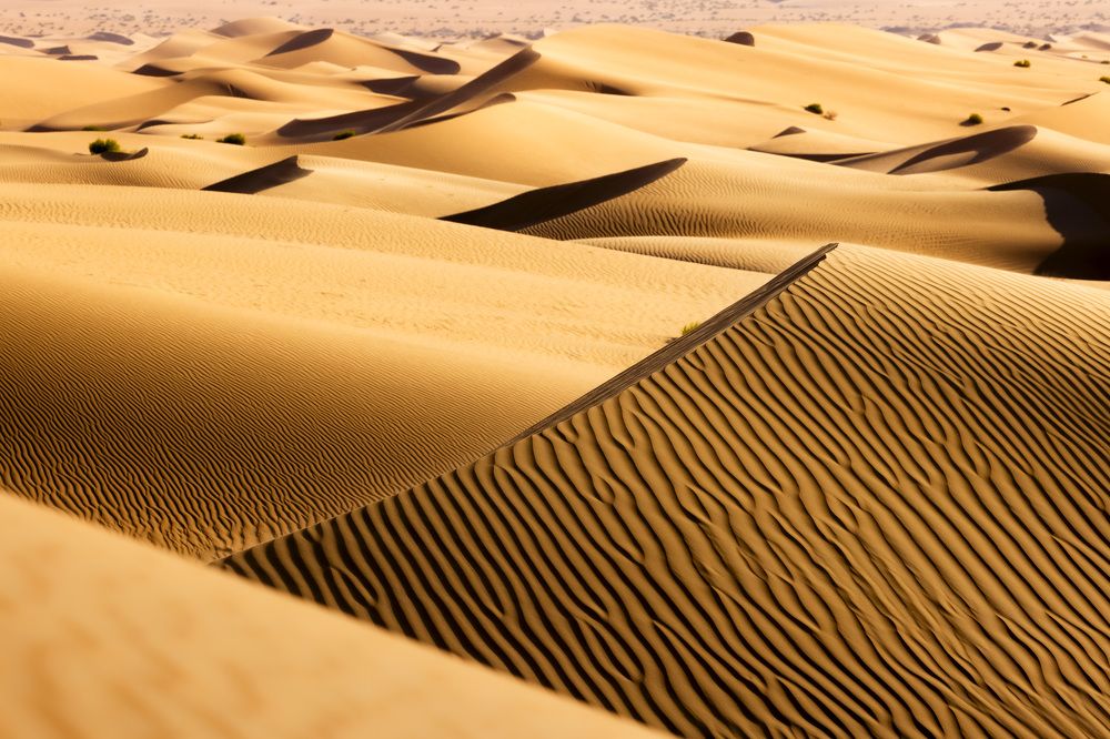 Photograph by Matteo Strassera