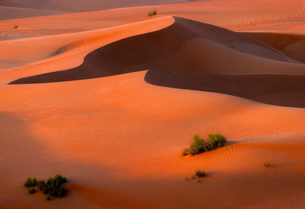 Photograph by Matteo Strassera