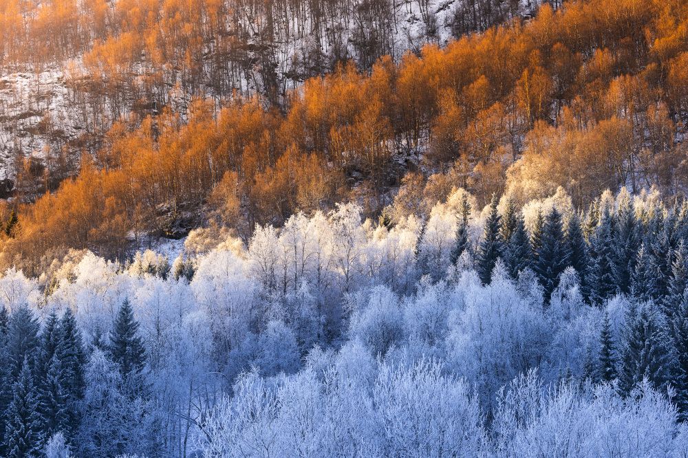 Photograph by Matteo Strassera