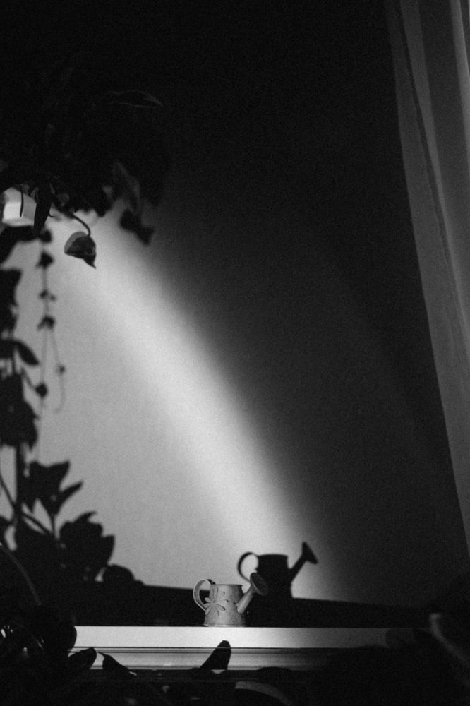 Фотография автора Yulia Babushkina