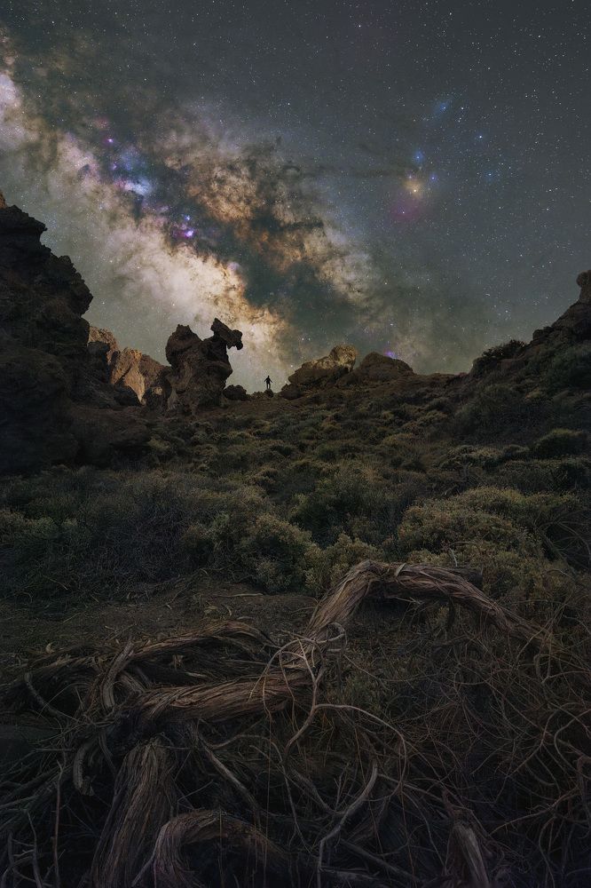 Photograph by Matteo Strassera