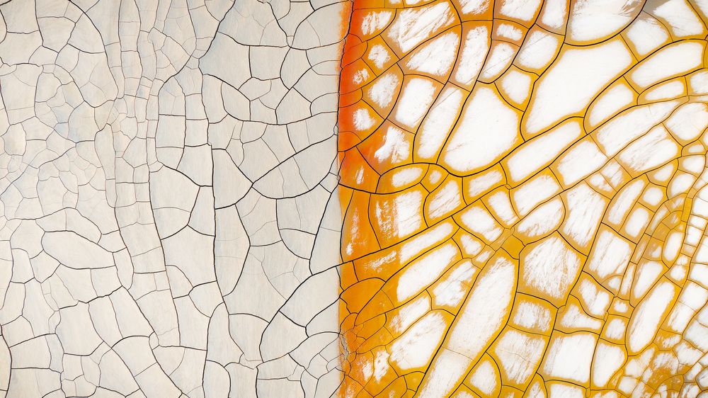 Photograph by Matteo Strassera