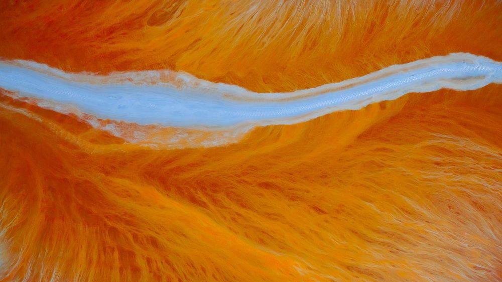 Photograph by Matteo Strassera