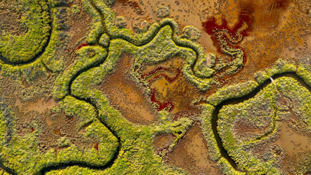 Photograph by Matteo Strassera