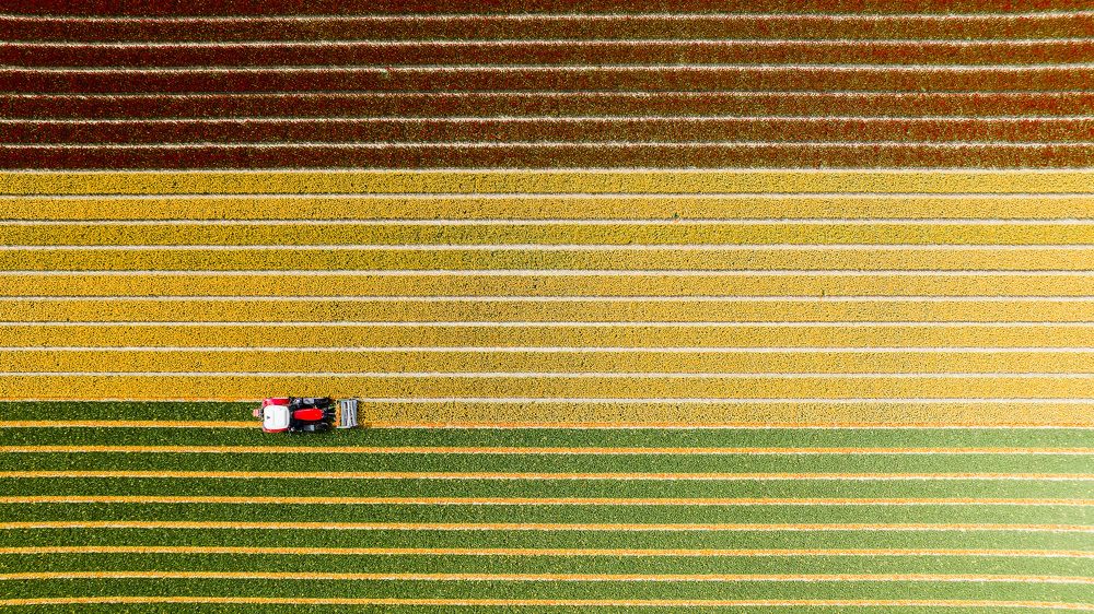 Photograph by Matteo Strassera