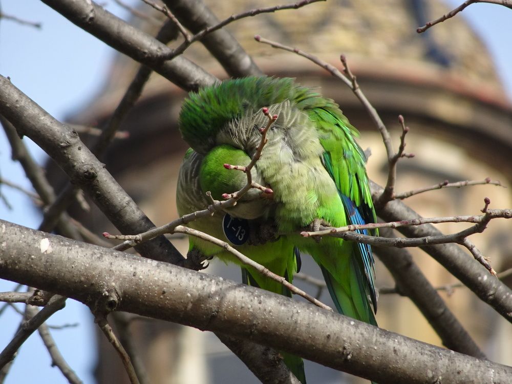 Photograph by Мила Милая