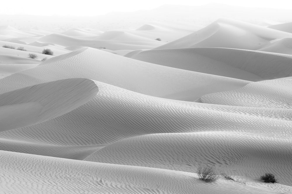 Photograph by Matteo Strassera