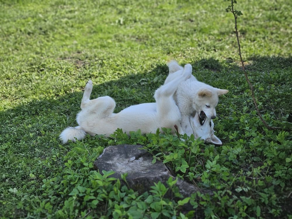 Photograph by Ольга Пришедько