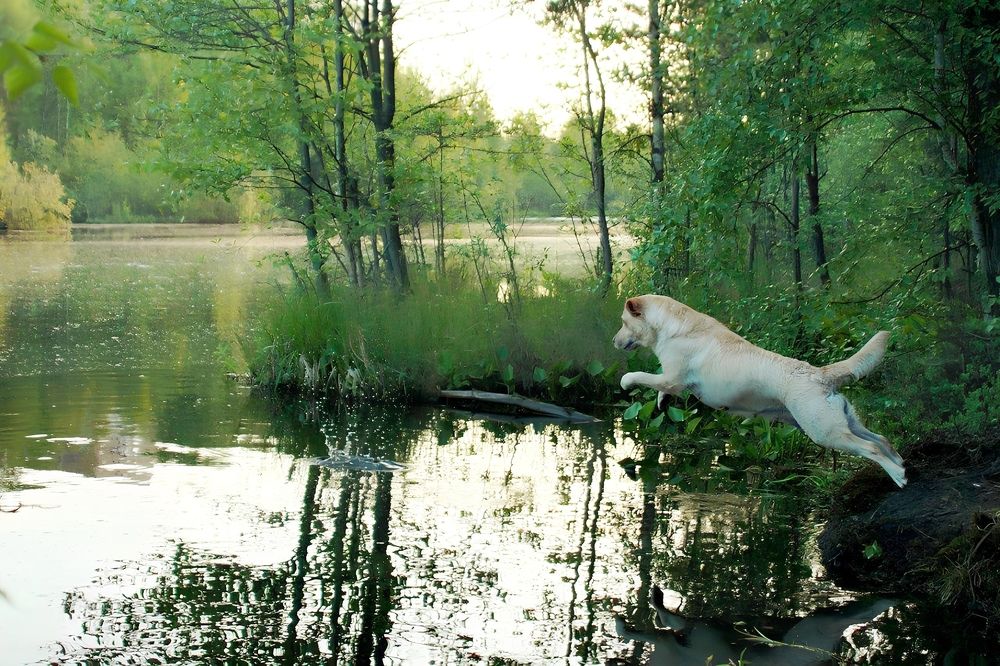 Фотография автора Валерий Жданов