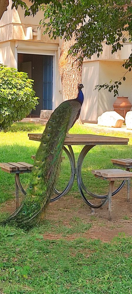 Photograph by Елена Юдина