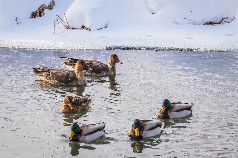 Фотография автора Юрий Фефилов