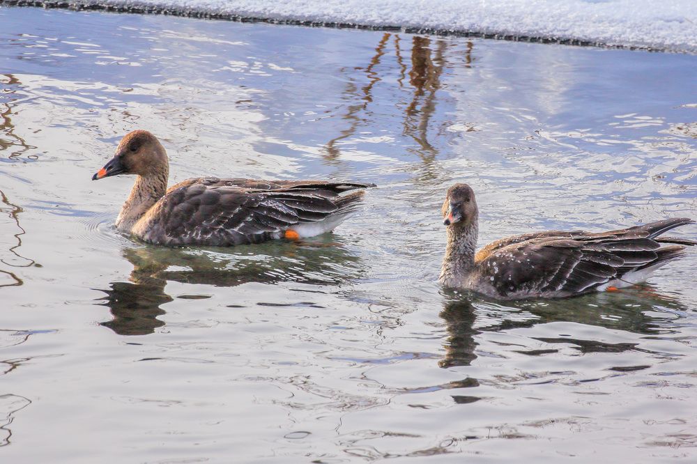 Фотография автора Юрий Фефилов
