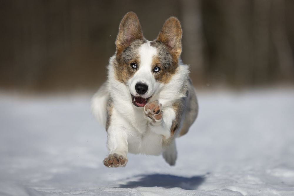 Photograph by Мария Комратова