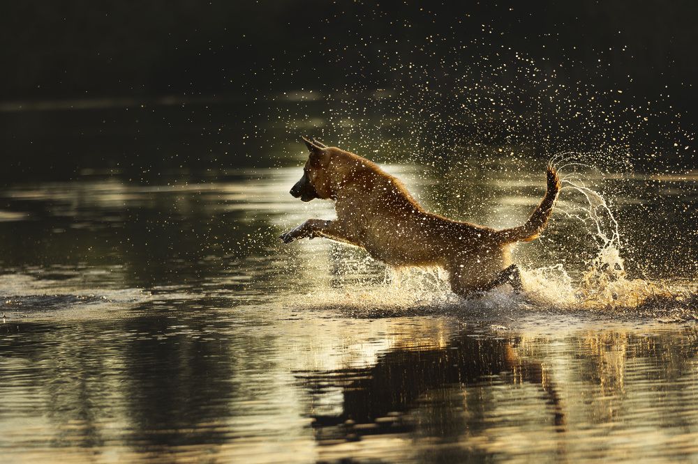 Photograph by Мария Комратова