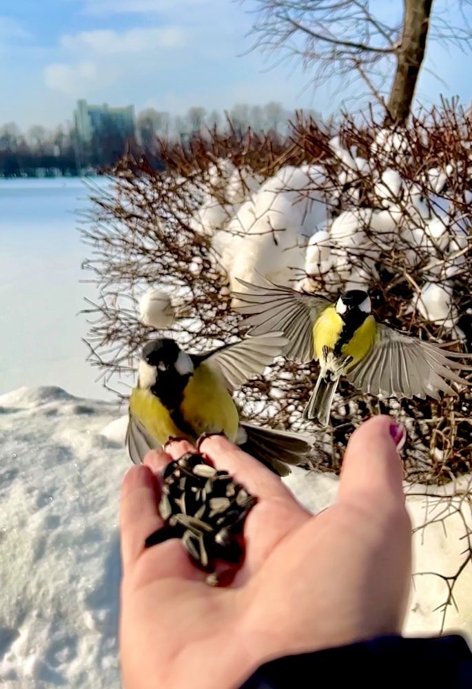 Photograph by Ирина Швейнова