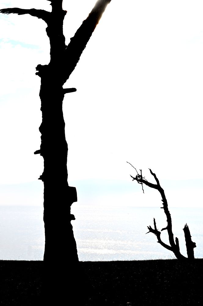 Photograph by Хиус