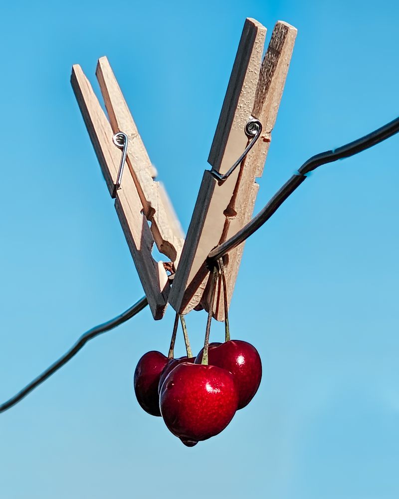 Photograph by Alexandra Sergeeva