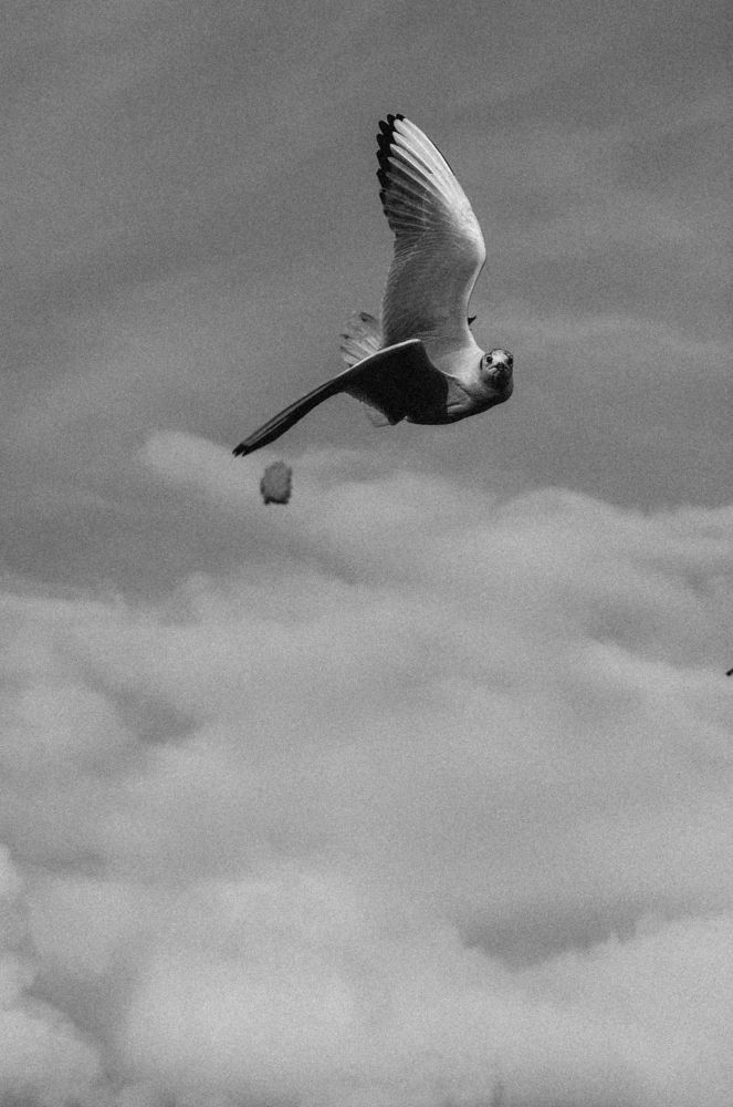 Photograph by Анастасия Антонова