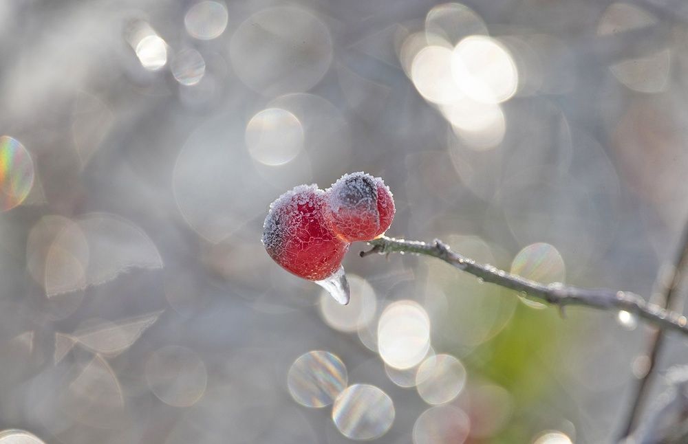 Photograph by Gurdina Lena