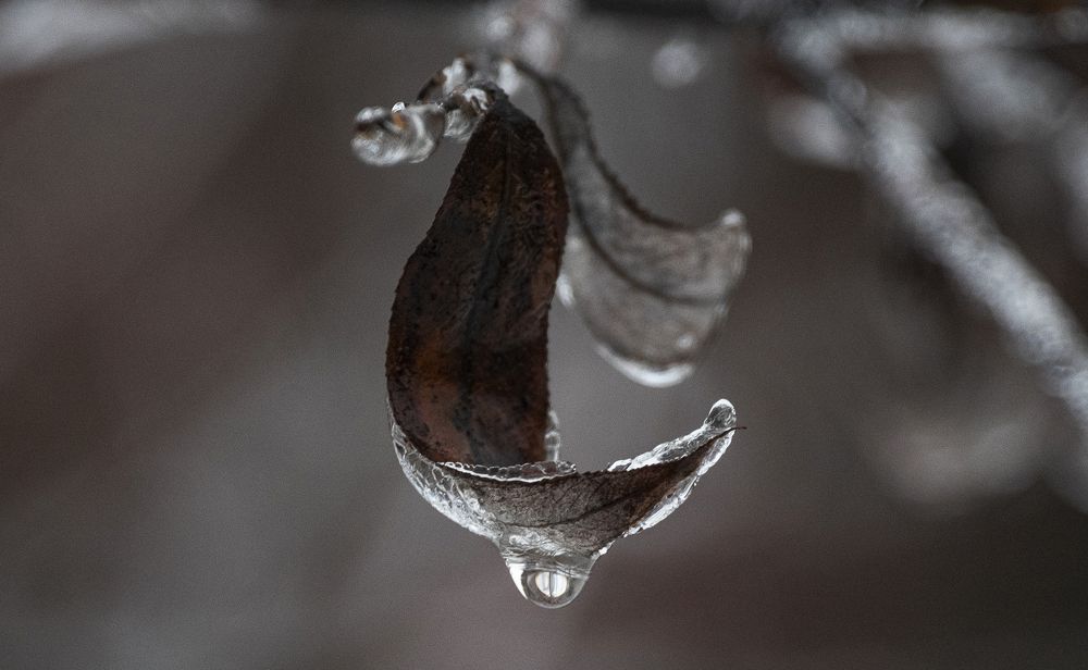 Photograph by Gurdina Lena