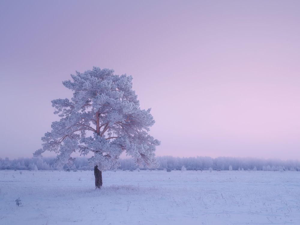 Photograph by Леонтьев Константин