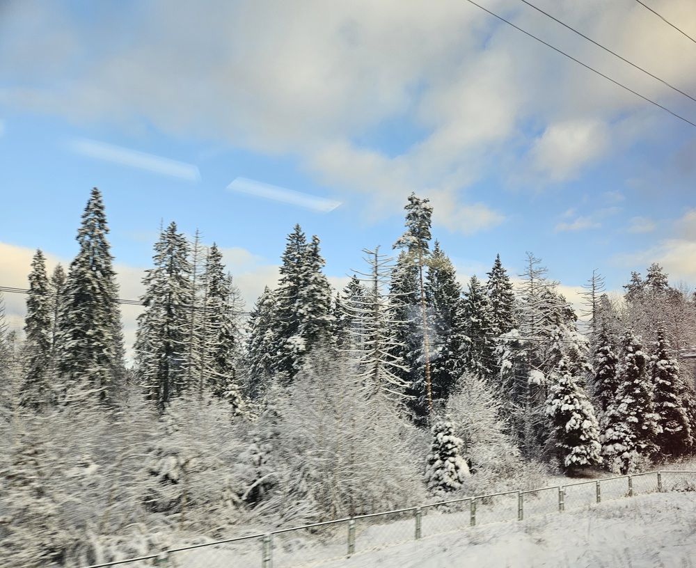 Photograph by Ольга Пришедько