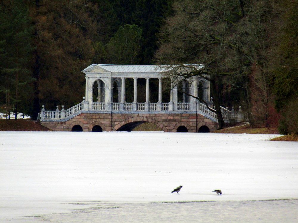 Photograph by Татьяна Смирнова