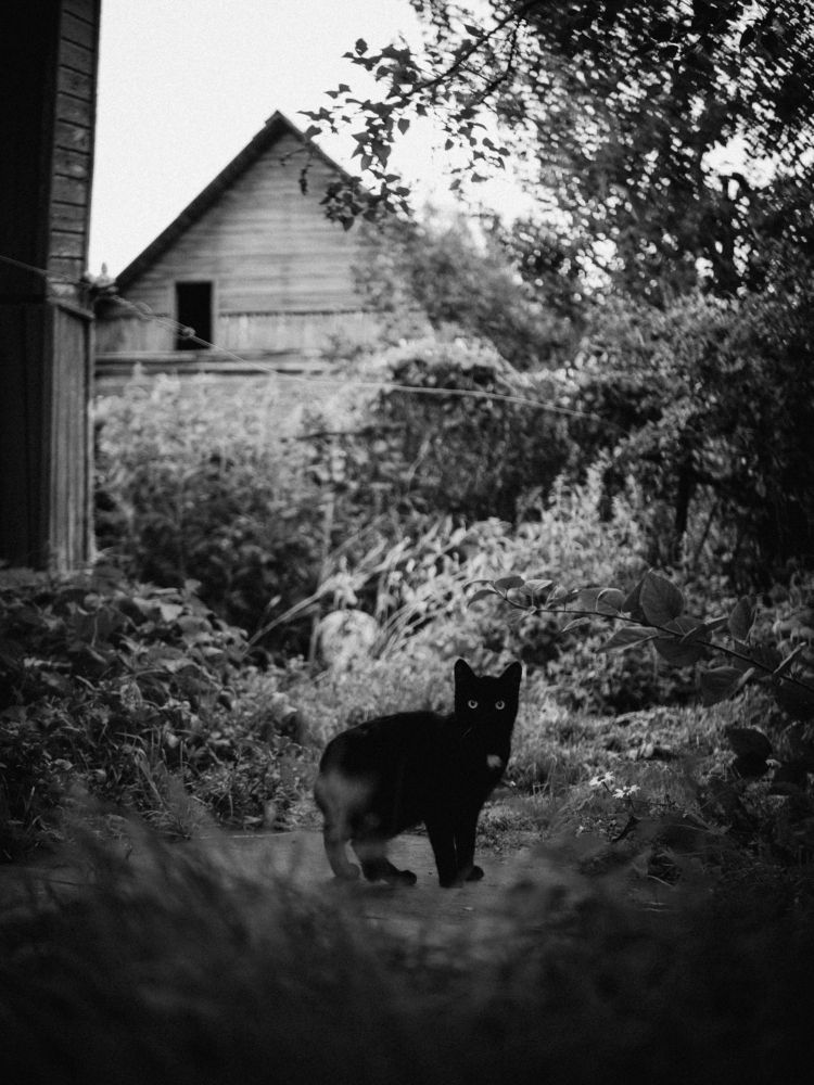 Photograph by Илья Михайлов