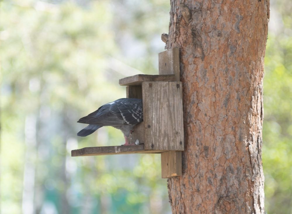 Photograph by Альберт Габбасов