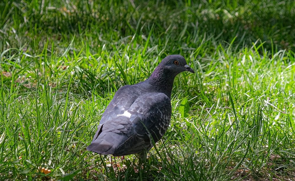 Photograph by Альберт Габбасов