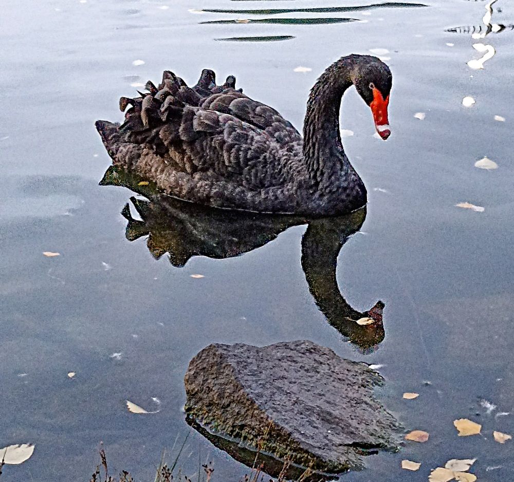 Photograph by Альберт Габбасов