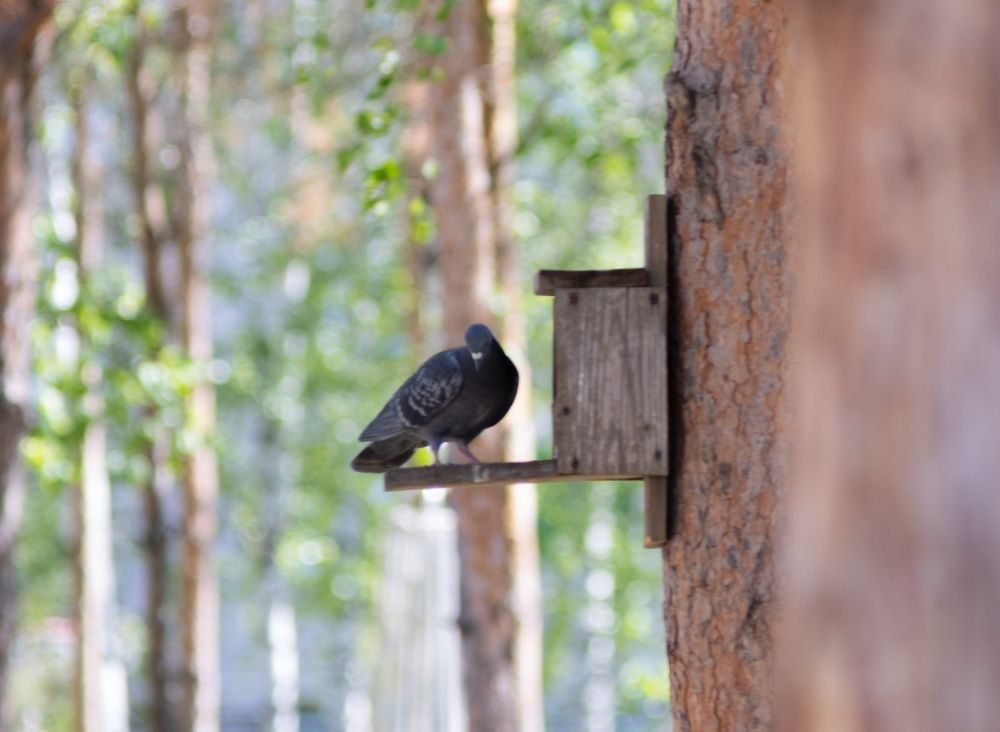 Photograph by Альберт Габбасов