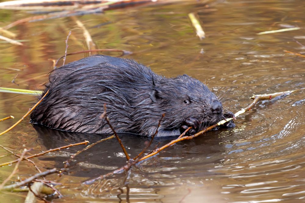 Photograph by Екатерина Бакулина