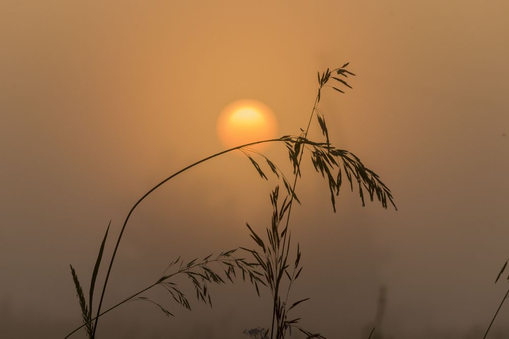 Photograph by Sergey Paramonov