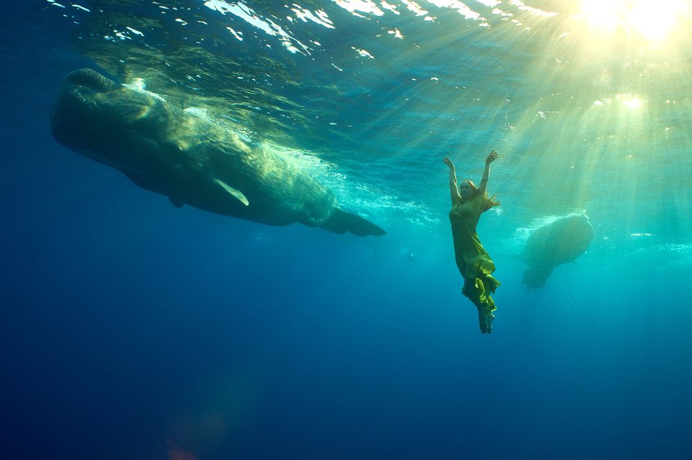 Повелительница китов