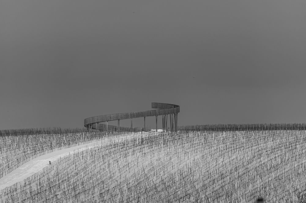 Photograph by Olga Arune