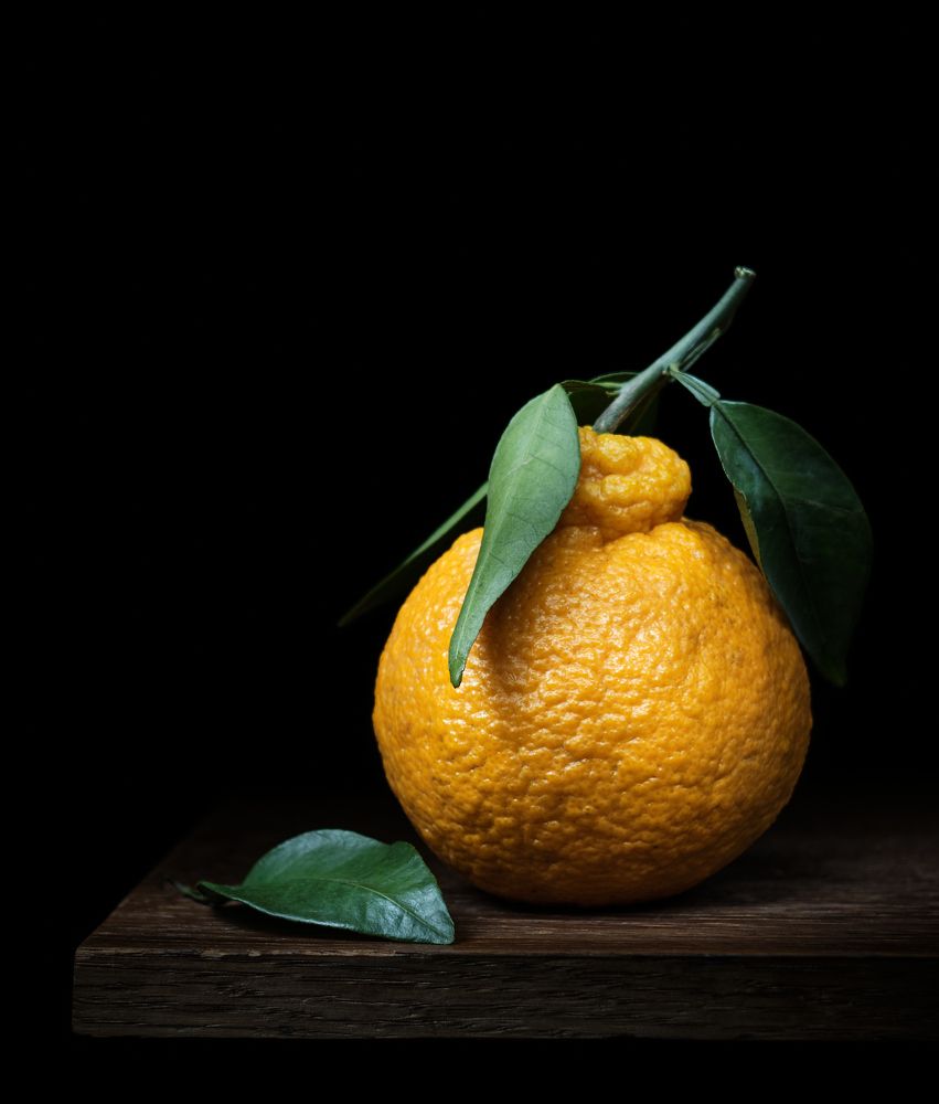 Photograph by Сергей Коваль