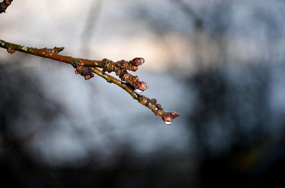 Photograph by Зинаида Фадеева