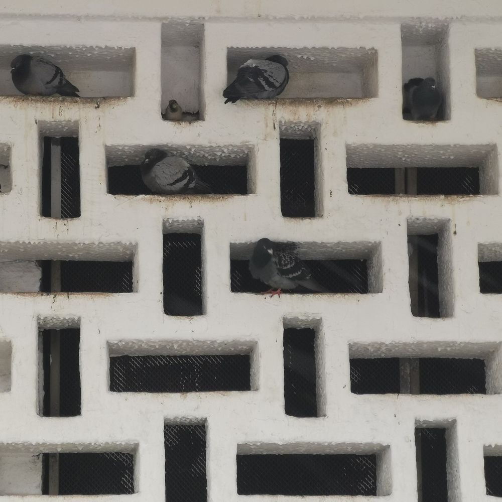 Photograph by Жучков Дмитрий