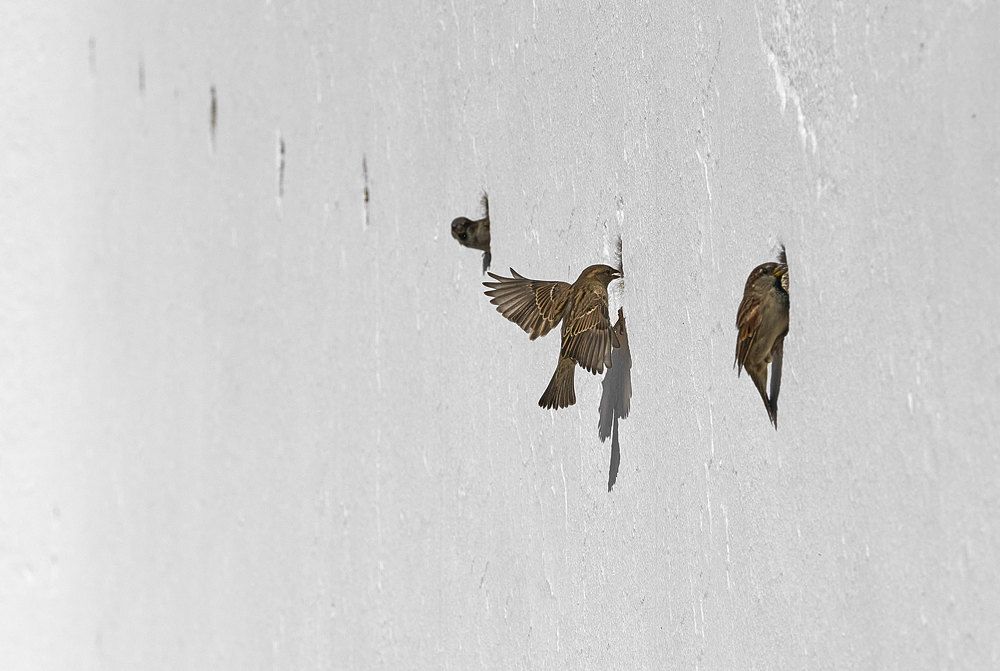 Photograph by Boris Bekelman