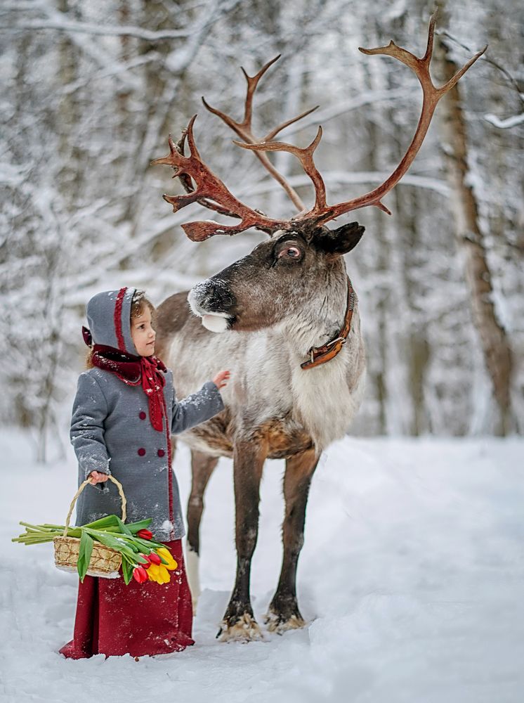 Photograph by Ольга Власкина