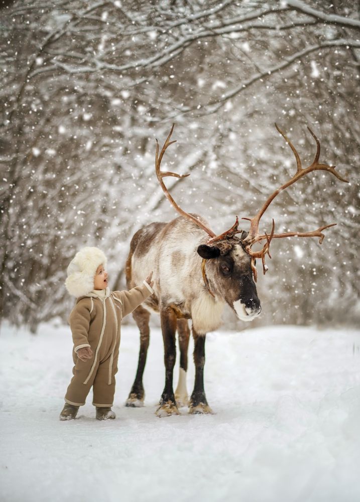 Photograph by Ольга Власкина