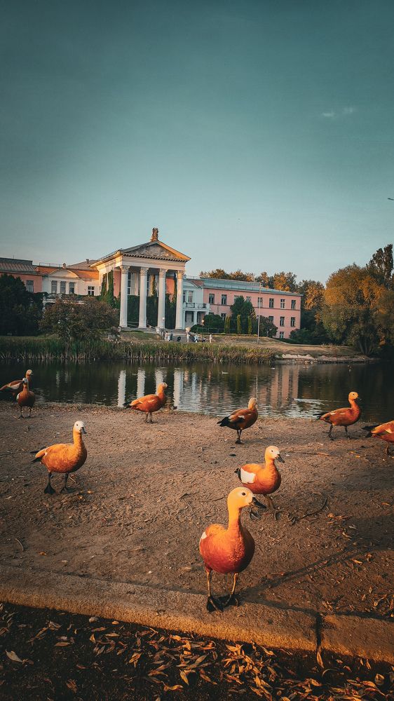 Photograph by Екатерина Никитина