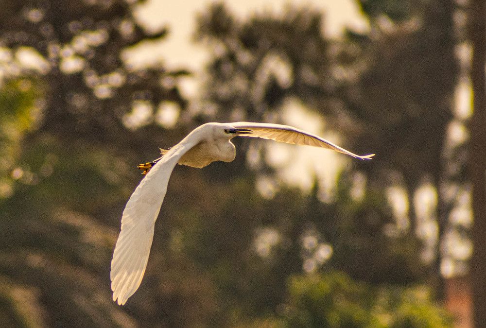 Photograph by Eslam ElsayedEldaramlly