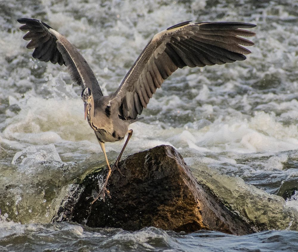 Photograph by Eslam ElsayedEldaramlly