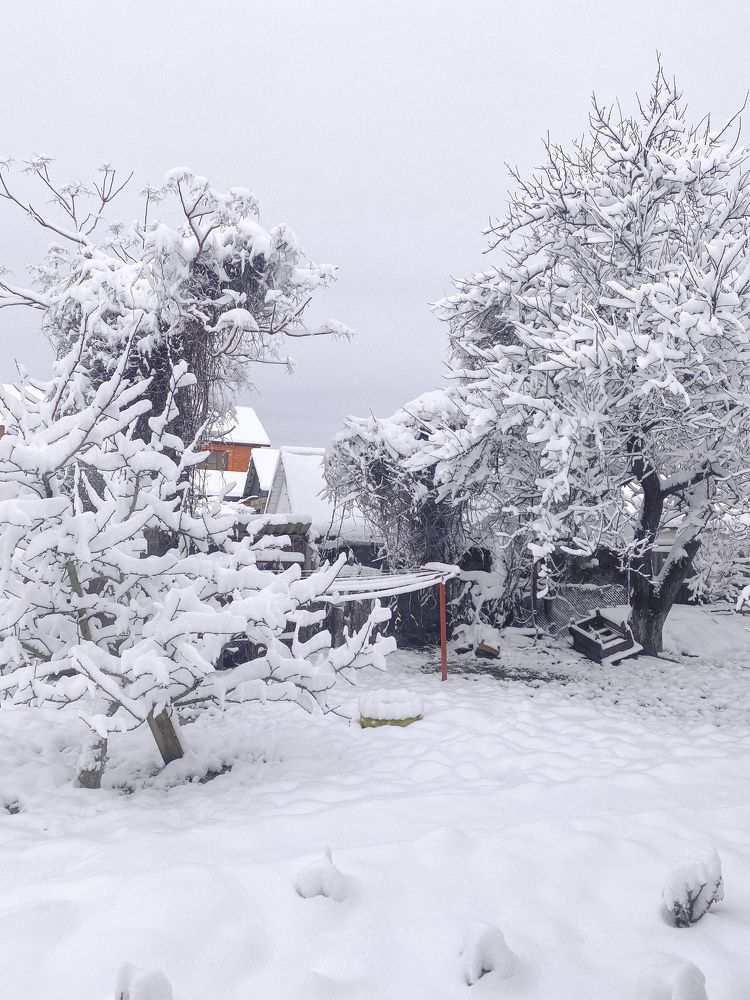 Photograph by Соколова Виктория