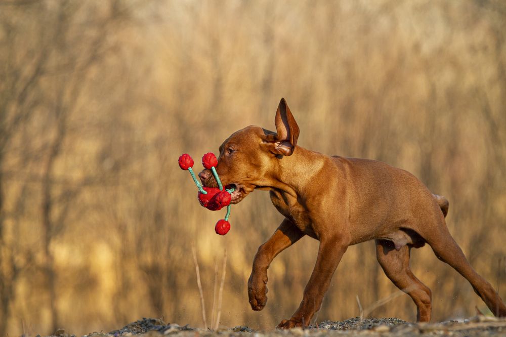 Photograph by Эльнара Исаева