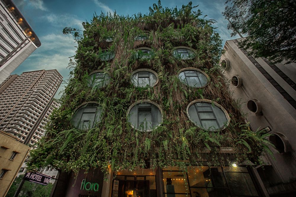 Photograph by Альфия Куликова