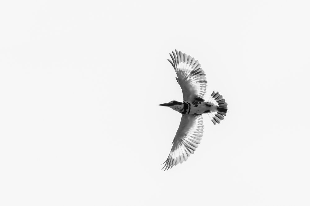 Фотография автора Anandhu M