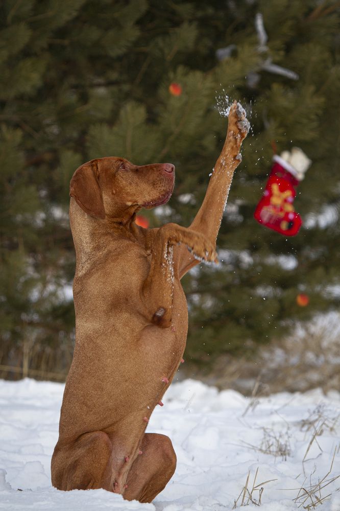 Photograph by Эльнара Исаева